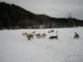 dscn0506.jpg