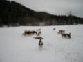 dscn0507.jpg