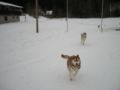 dscn0508.jpg