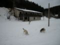 dscn0509.jpg