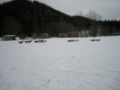 dscn0510.jpg