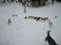 dscn0511.jpg