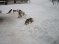 dscn0512.jpg