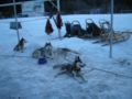 dscn0521.jpg