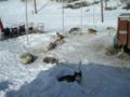 dscn0527.jpg