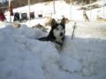 dscn0528.jpg