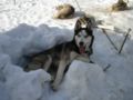 dscn0529.jpg