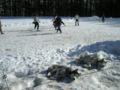 dscn0534.jpg