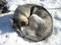 dscn0538.jpg