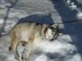 dscn0540.jpg