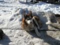 dscn0542.jpg