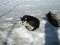 dscn0543.jpg