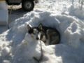 dscn0544.jpg
