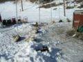 dscn0546.jpg