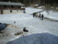 dscn0548.jpg