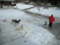 dscn0573.jpg
