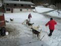 dscn0574.jpg