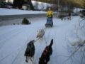 dscn0595.jpg
