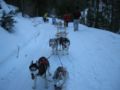 dscn0599.jpg