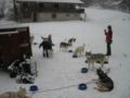 dscn0603.jpg