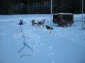 dscn0635.jpg