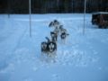 dscn0636.jpg