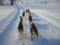 dscn0637.jpg