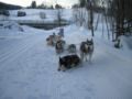 dscn0638.jpg