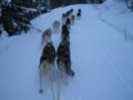 dscn0639.jpg