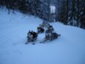 dscn0640.jpg