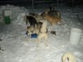 dscn0642.jpg