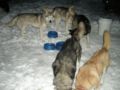 dscn0643.jpg