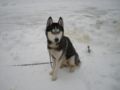 dscn0653.jpg