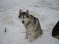 dscn0654.jpg