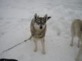 dscn0655.jpg