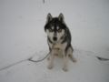 dscn0656.jpg
