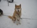 dscn0657.jpg