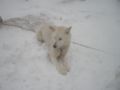 dscn0659.jpg