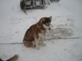 dscn0661.jpg