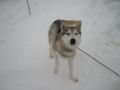 dscn0662.jpg