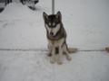 dscn0665.jpg