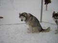 dscn0666.jpg