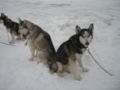 dscn0667.jpg
