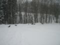 dscn0670.jpg