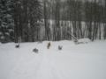 dscn0671.jpg