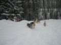 dscn0672.jpg
