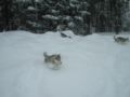 dscn0673.jpg