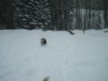 dscn0674.jpg