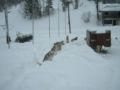 dscn0675.jpg
