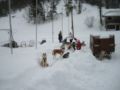 dscn0681.jpg